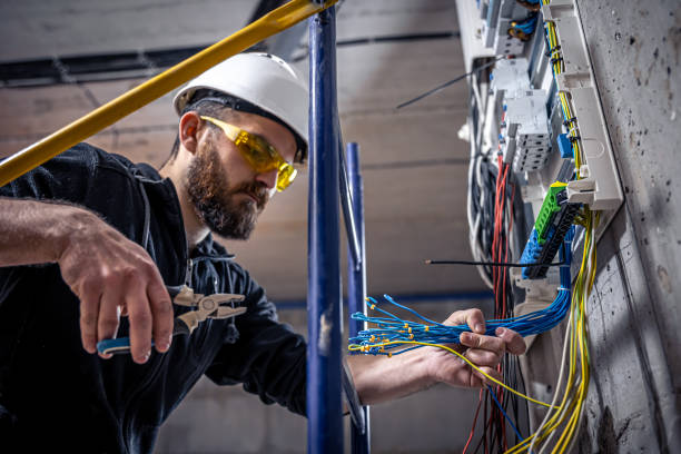 Best Ceiling Fan Installation Electrician  in Douglas, WY