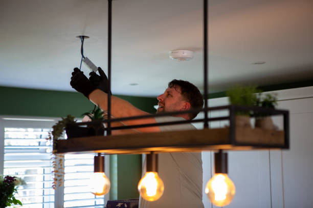 Best Electrical System Inspection  in Douglas, WY